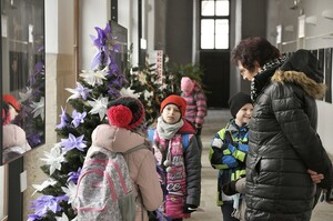 Děti ze ZŠ Nová Bystřice při prohlídce ostatních ozdobených stromků 7. 12. 2021