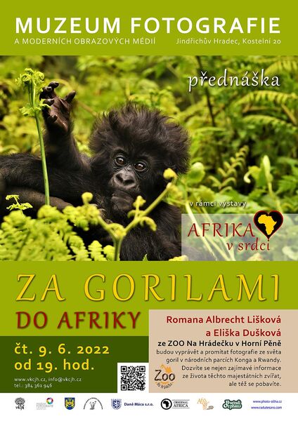 Za gorilami do Afriky